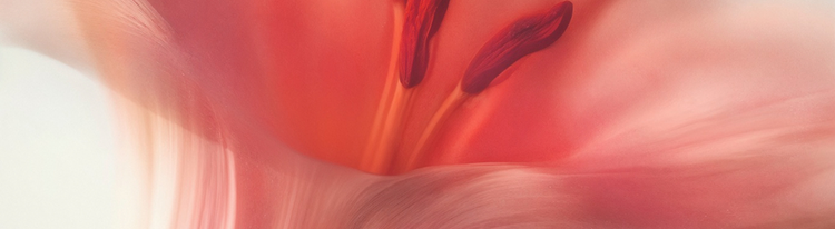 Extrait de parfum