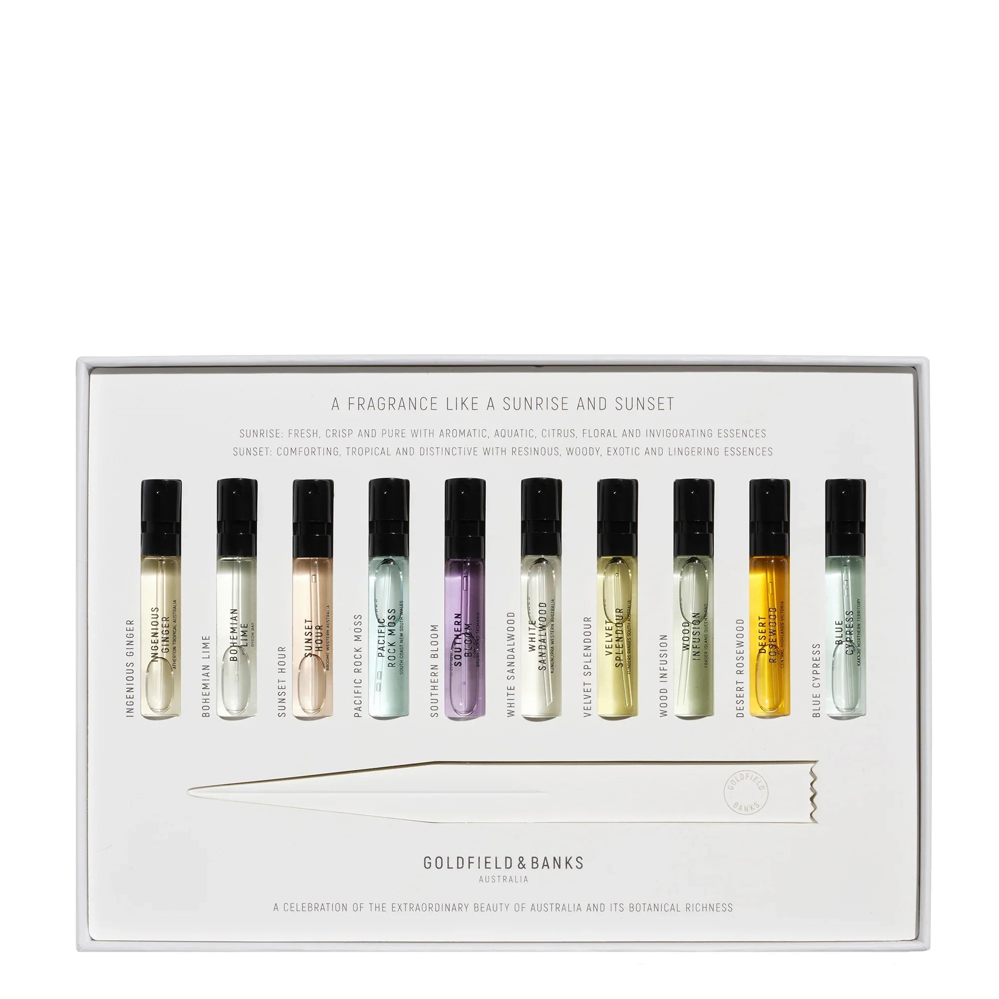 DISCOVERY SAMPLE COLLECTION (10 X 2ML) – AMBER LAB