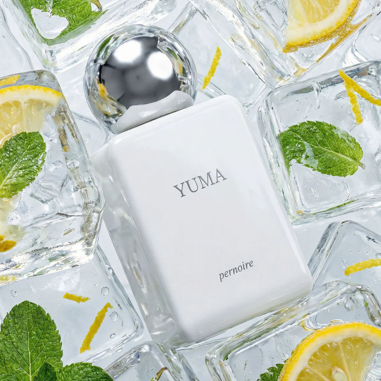 Yuma PERNOIRE